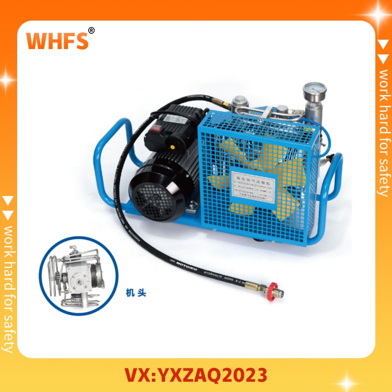 X100���s�՚�����